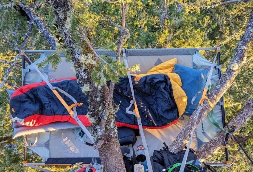 ベッドアンドブレックファースト Tree Climbing At Silver Falls