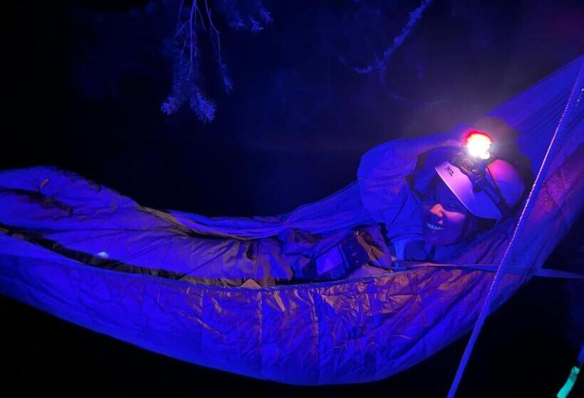 ベッドアンドブレックファースト Tree Climbing At Silver Falls