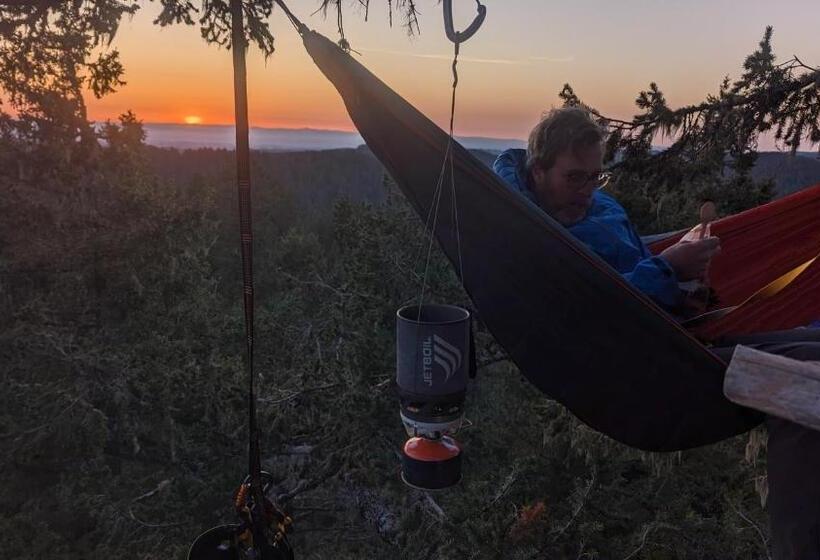 ベッドアンドブレックファースト Tree Climbing At Silver Falls