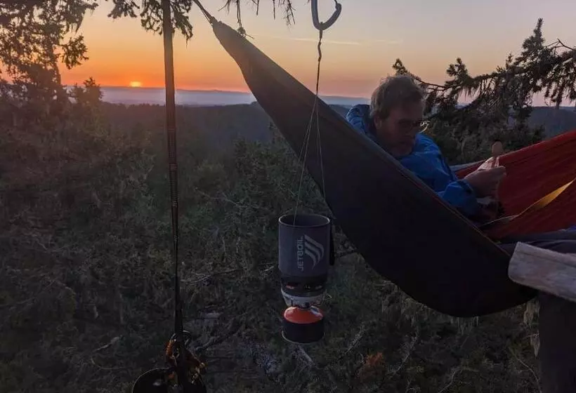 ベッドアンドブレックファースト Tree Climbing At Silver Falls