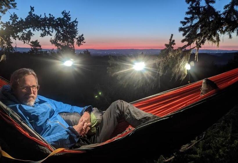 ベッドアンドブレックファースト Tree Climbing At Silver Falls