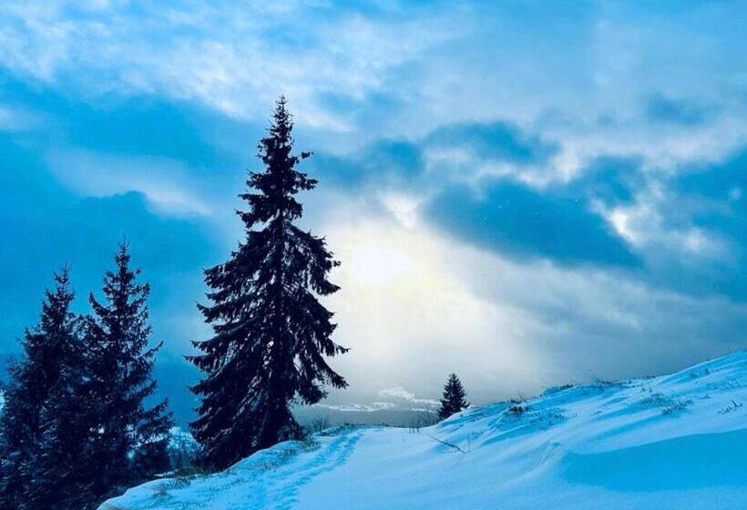 ホテル Tiarra Mountain Lodge