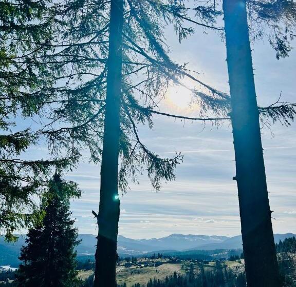 ホテル Tiarra Mountain Lodge