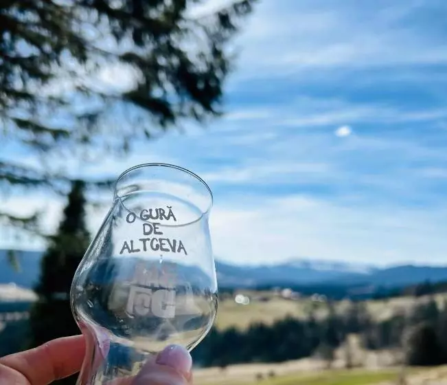 Hotelli Tiarra Mountain Lodge