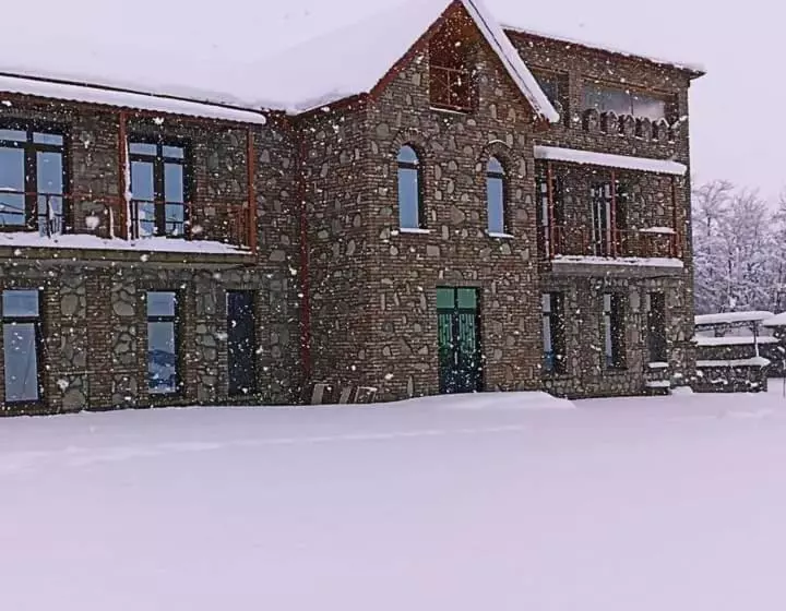 هتل Vachnadziani Wine Resort