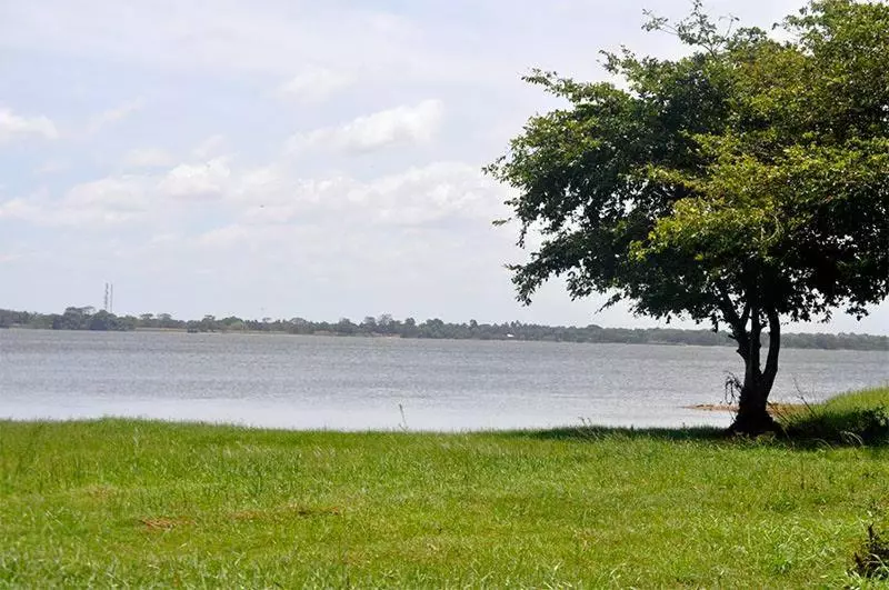 ペンション Ashok Hotel Anuradhapura