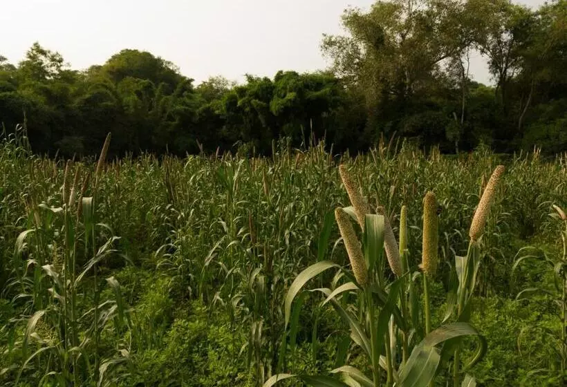 ホテル Jaadooghar Stays, Earth Friendly Stay, Chandigarh