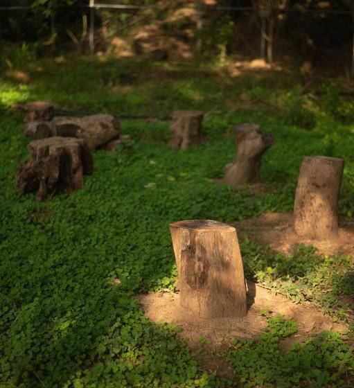 Hotel Jaadooghar Stays, Earth Friendly Stay, Chandigarh