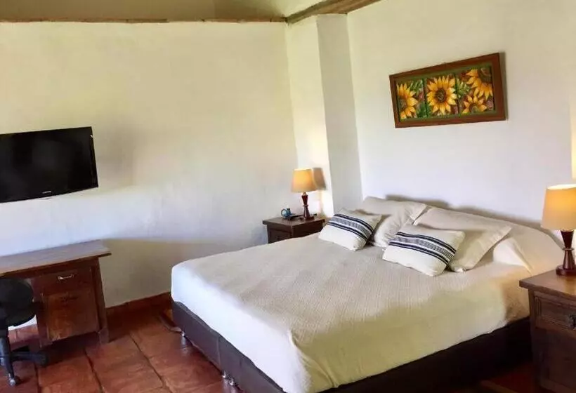 ホテル Masaya Achiotte   Junior Suite   Colombia