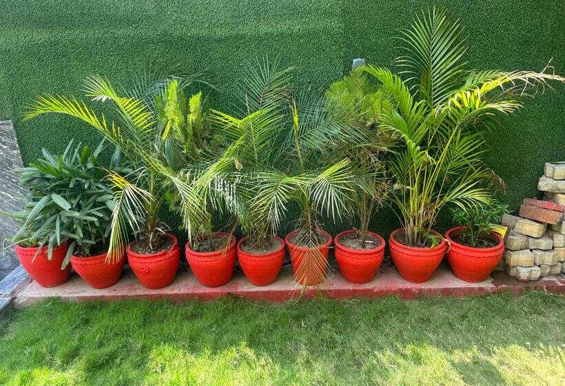 پانسیون Wonderstays