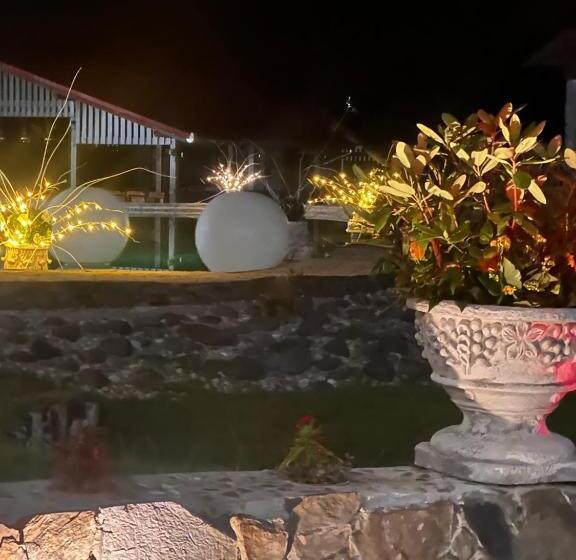 Pensiunea Ponorvata De Jos Complex Golden Lisard