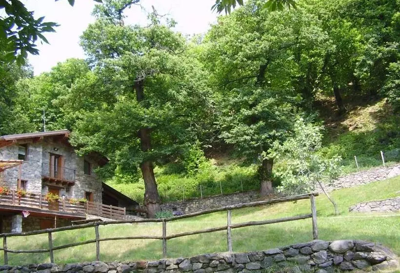 ホテル Agriturismo Il Riccio