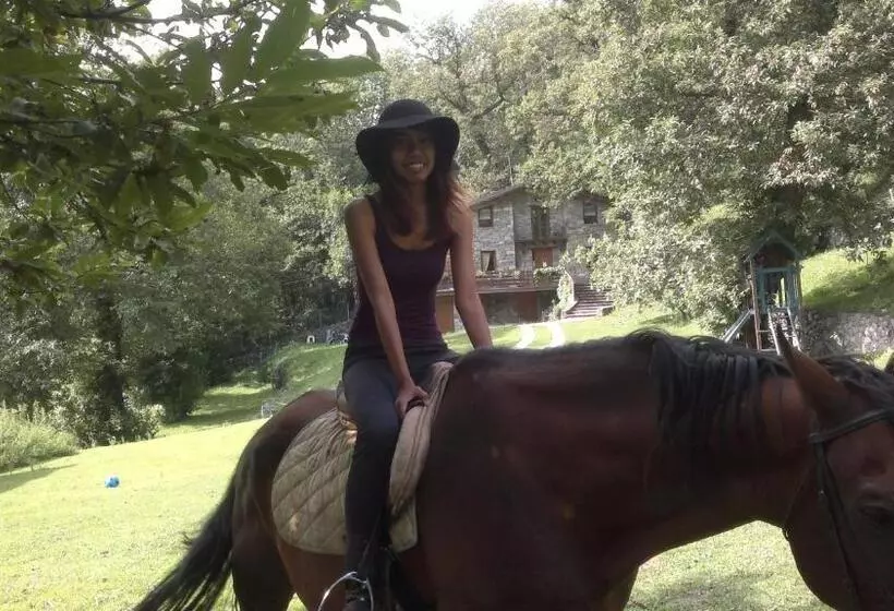 ホテル Agriturismo Il Riccio