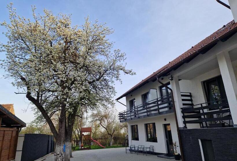 بنسيون Casa 7 Sate Apartament