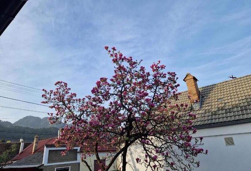 بنسيون Casa 7 Sate Apartament