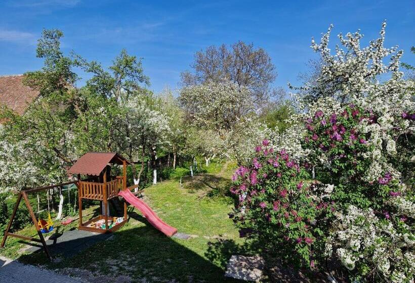 بنسيون Casa 7 Sate Apartament