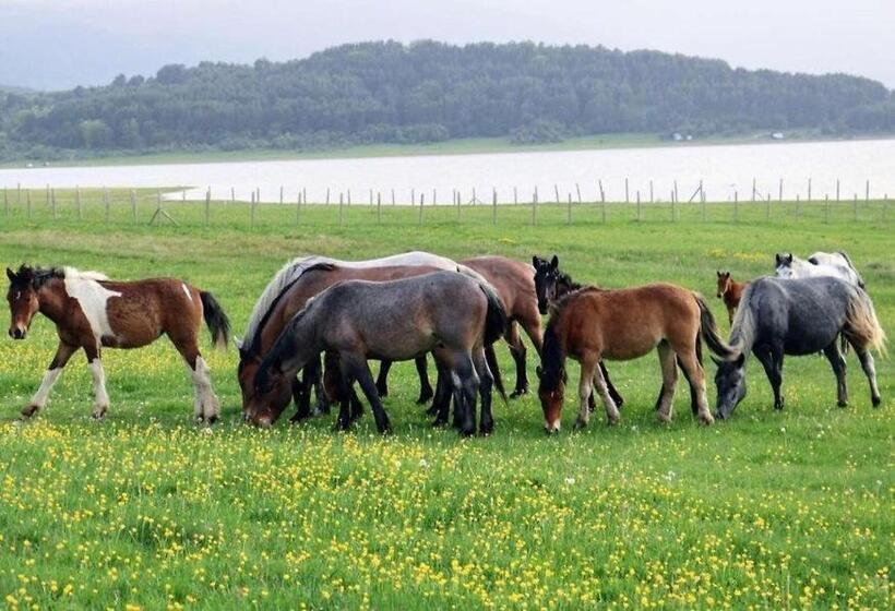 Pension (Hôtel basse catégorie) къщи за гости