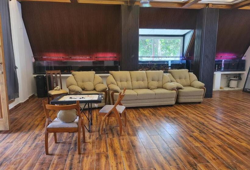 膳宿费 Moon Light Resorts