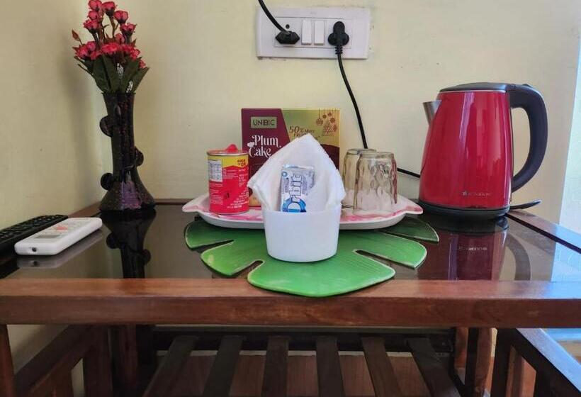 Pension (Hôtel basse catégorie) The Comfort Zone