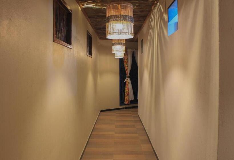 Schronisko Vila Hayô