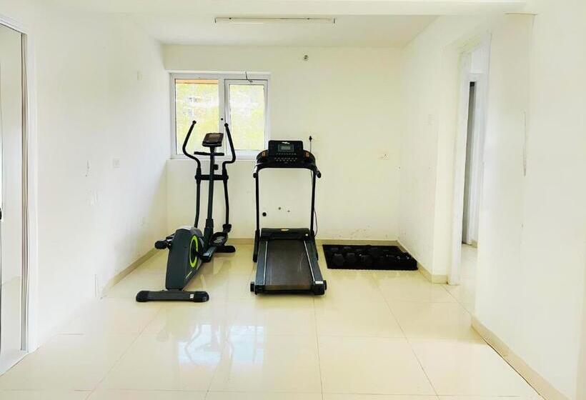 Misty Skywind Retreat