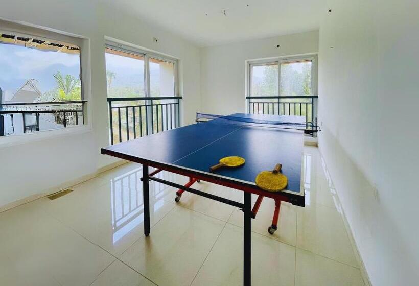 Misty Skywind Retreat