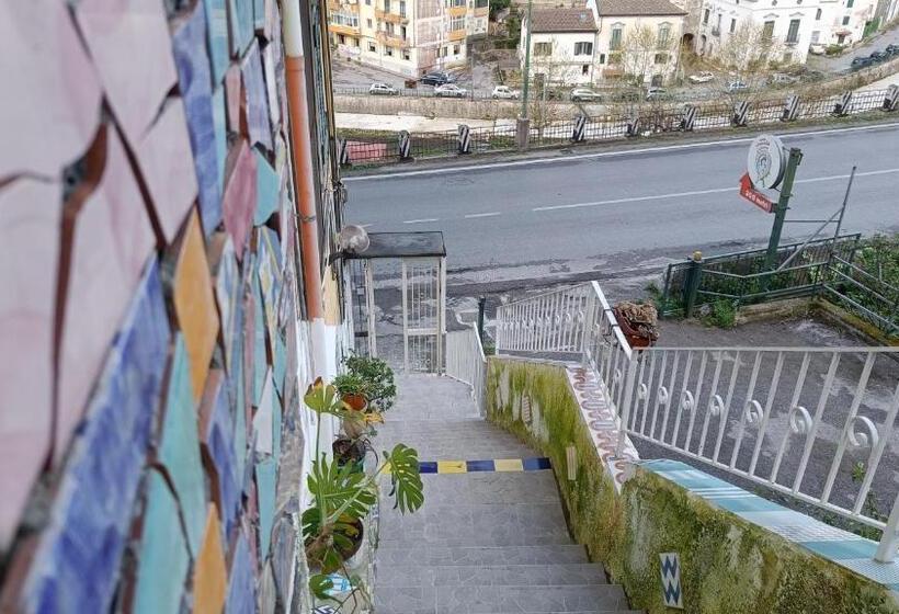 Pensjonat Maya Guest House