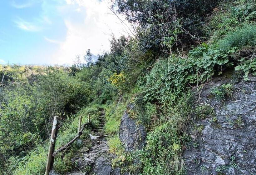 Pensjonat Maya Guest House