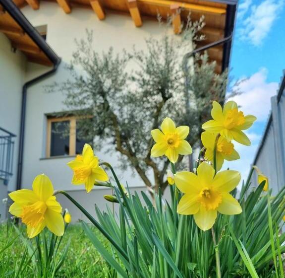 بنسيون Origini Holidays