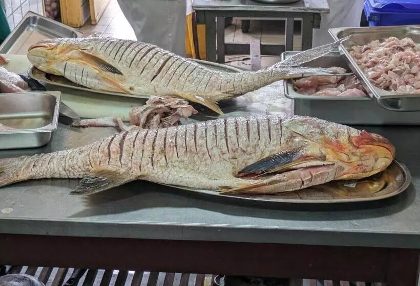 هتل Foyer Du Marin