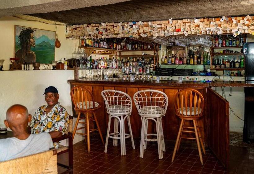 هتل Roxy S Mountain Lodge