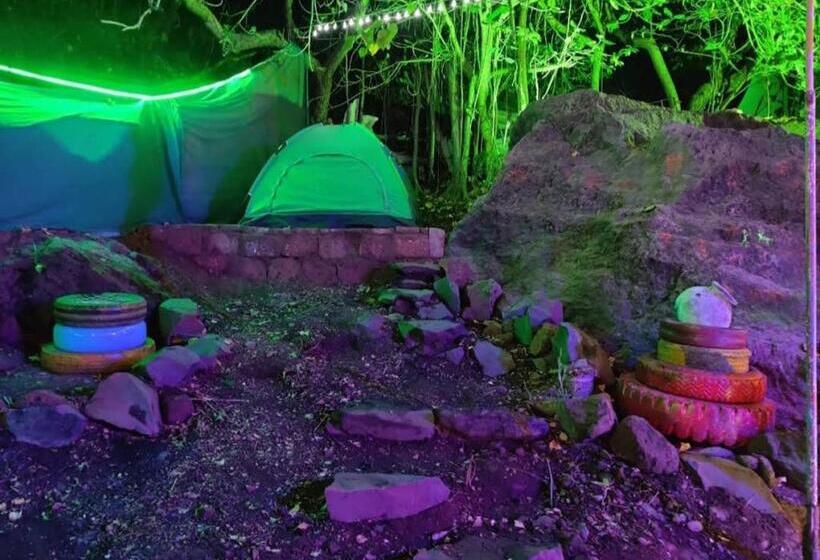 호텔 Tamboo O Zone / Dream Beach House