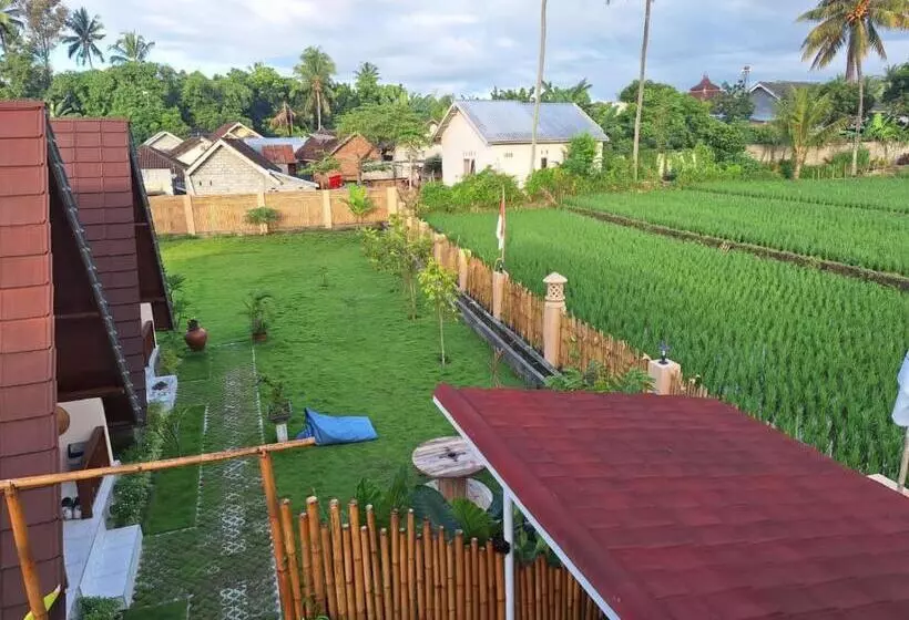 ペンション Carasti Bungalows