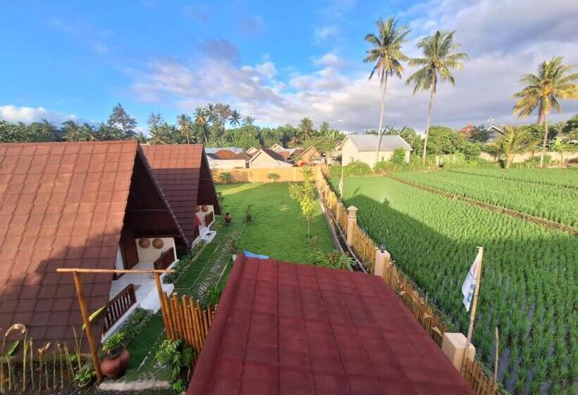 膳宿费 Carasti Bungalows