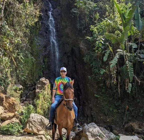 ペンション Paradise In Envigado