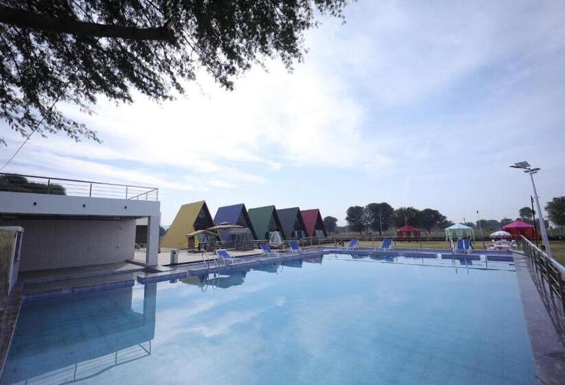 渡假胜地 Sunflower Saga