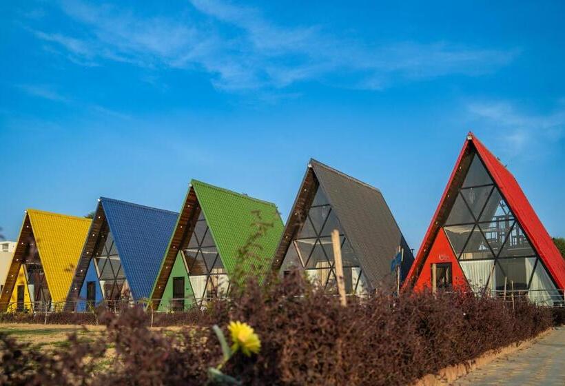 渡假胜地 Sunflower Saga