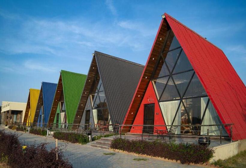 渡假胜地 Sunflower Saga