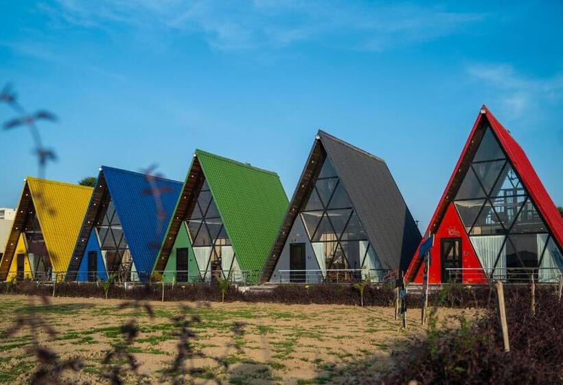 渡假胜地 Sunflower Saga