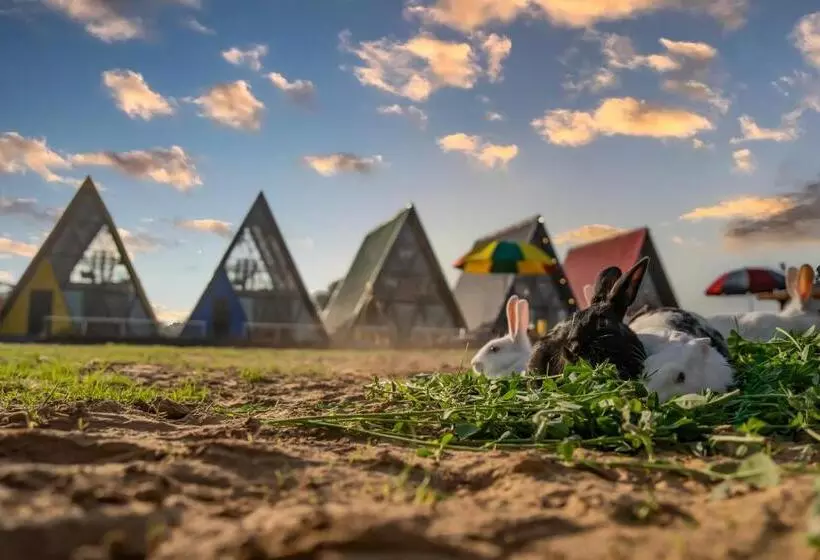 Lomakeskus Sunflower Saga