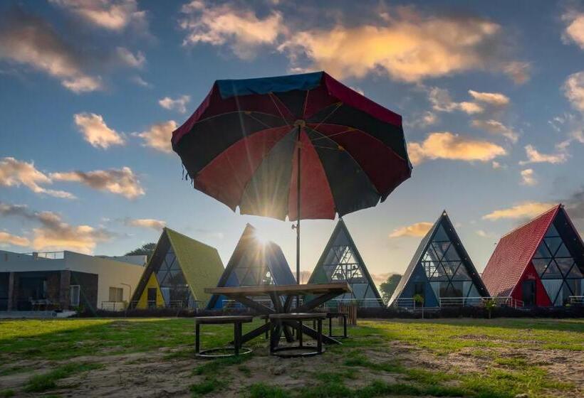 渡假胜地 Sunflower Saga