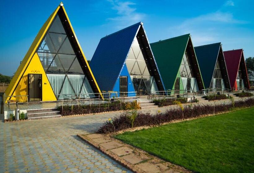 渡假胜地 Sunflower Saga