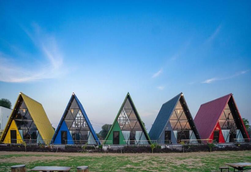 渡假胜地 Sunflower Saga