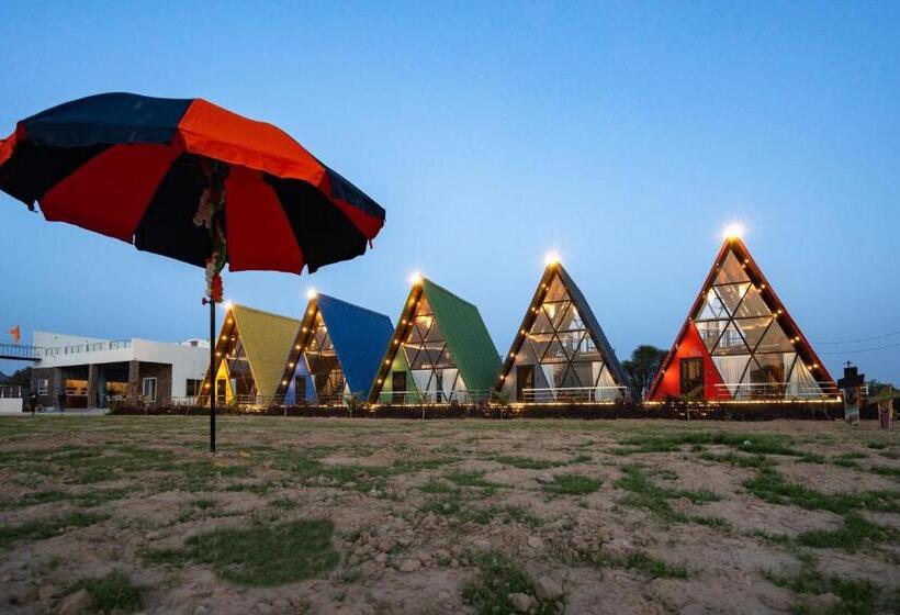 渡假胜地 Sunflower Saga