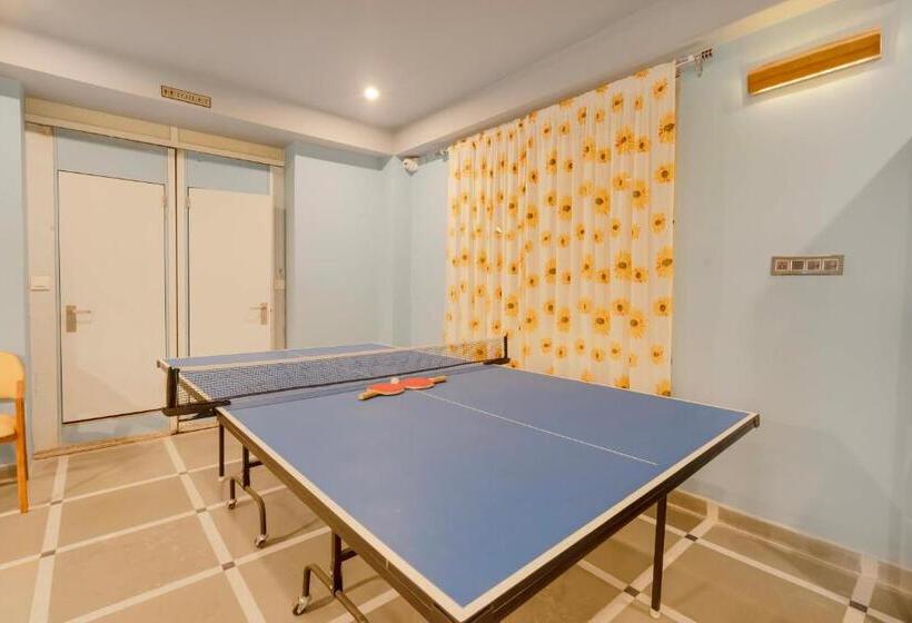 渡假胜地 Sunflower Saga