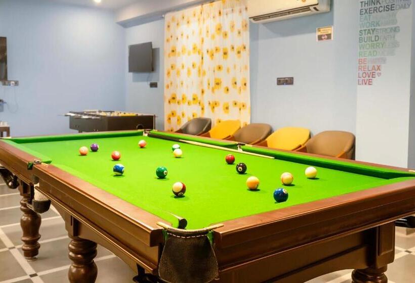 渡假胜地 Sunflower Saga