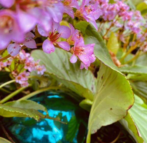 مبيت وإفطار Vintage Glamping Caravan Stadstuin Goedereede