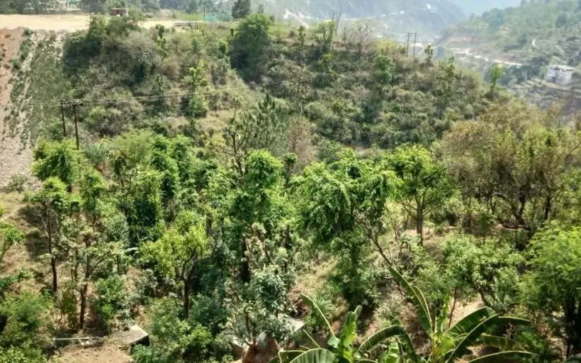 Hotelli Vamoose Govind