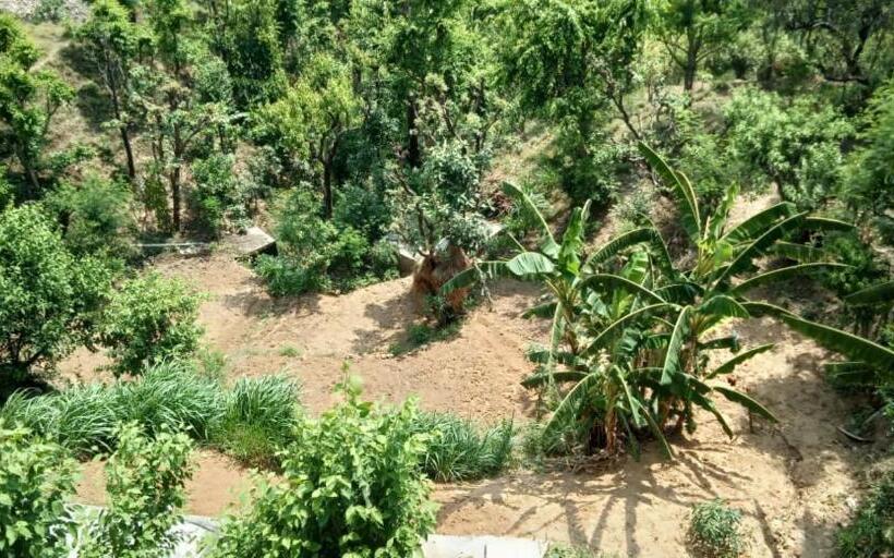 Hotel Vamoose Govind