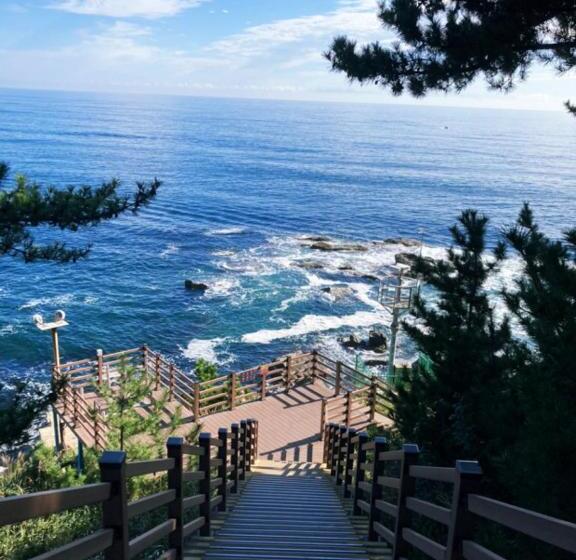 써니오션9블루테라